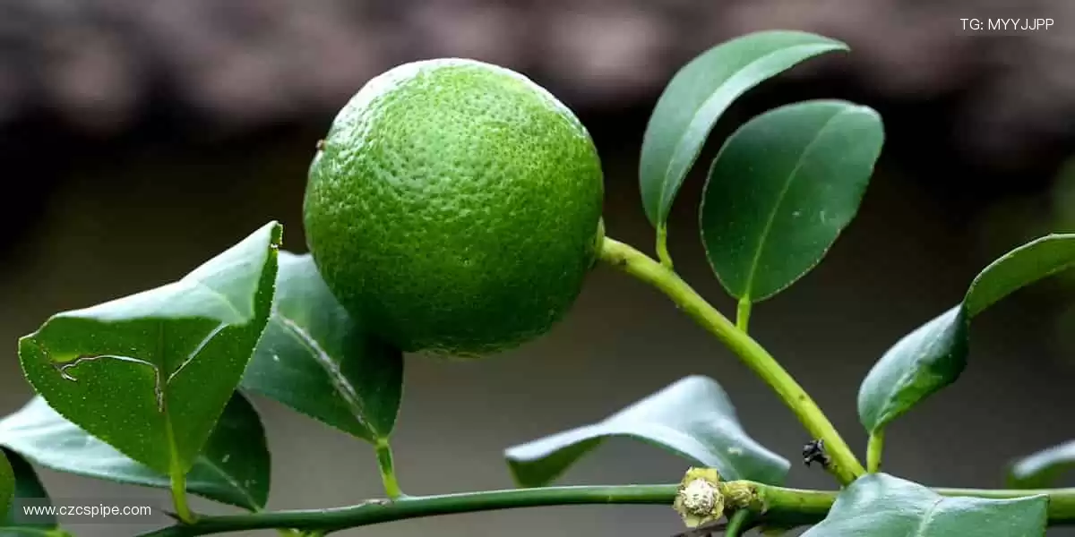 📺实时直击,精彩无延迟!体育直播官网,让你与赛场零距离!🏀💻